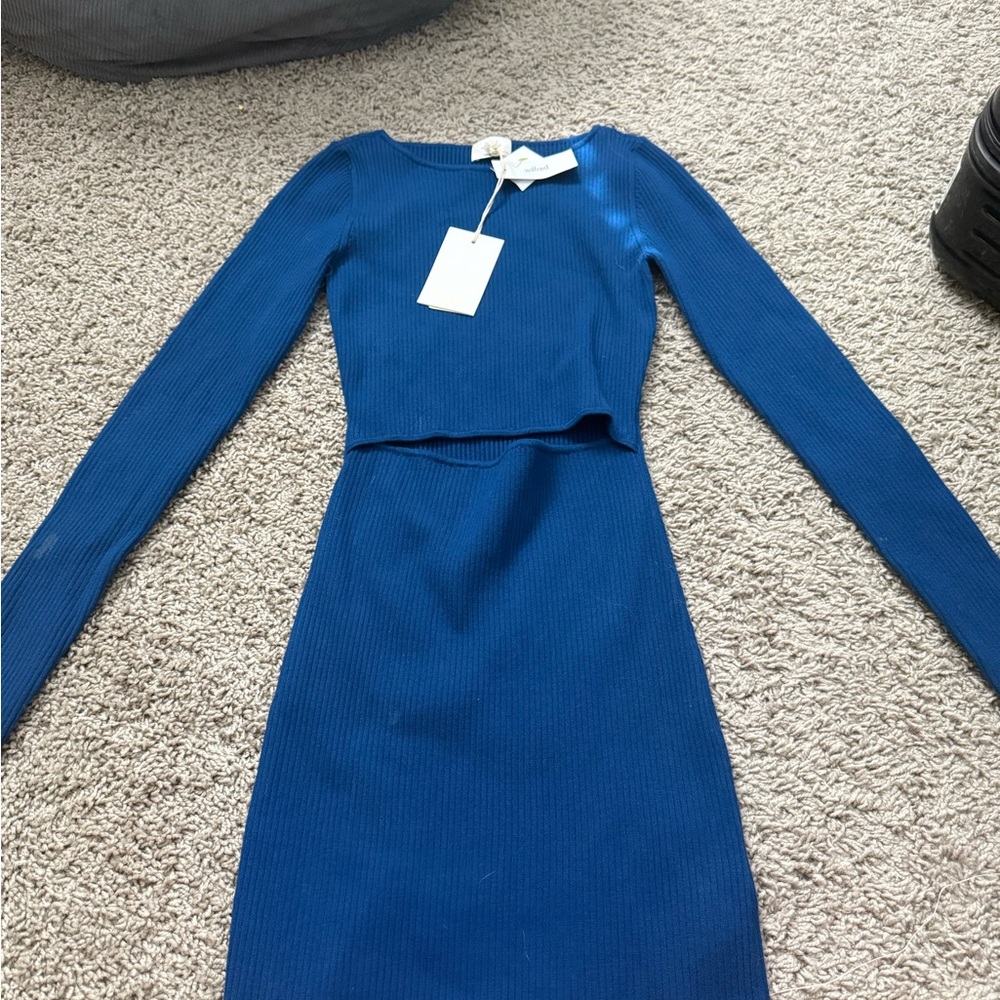 Aritzia long blue sleeve cut out dress NEW